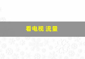 看电视 流量